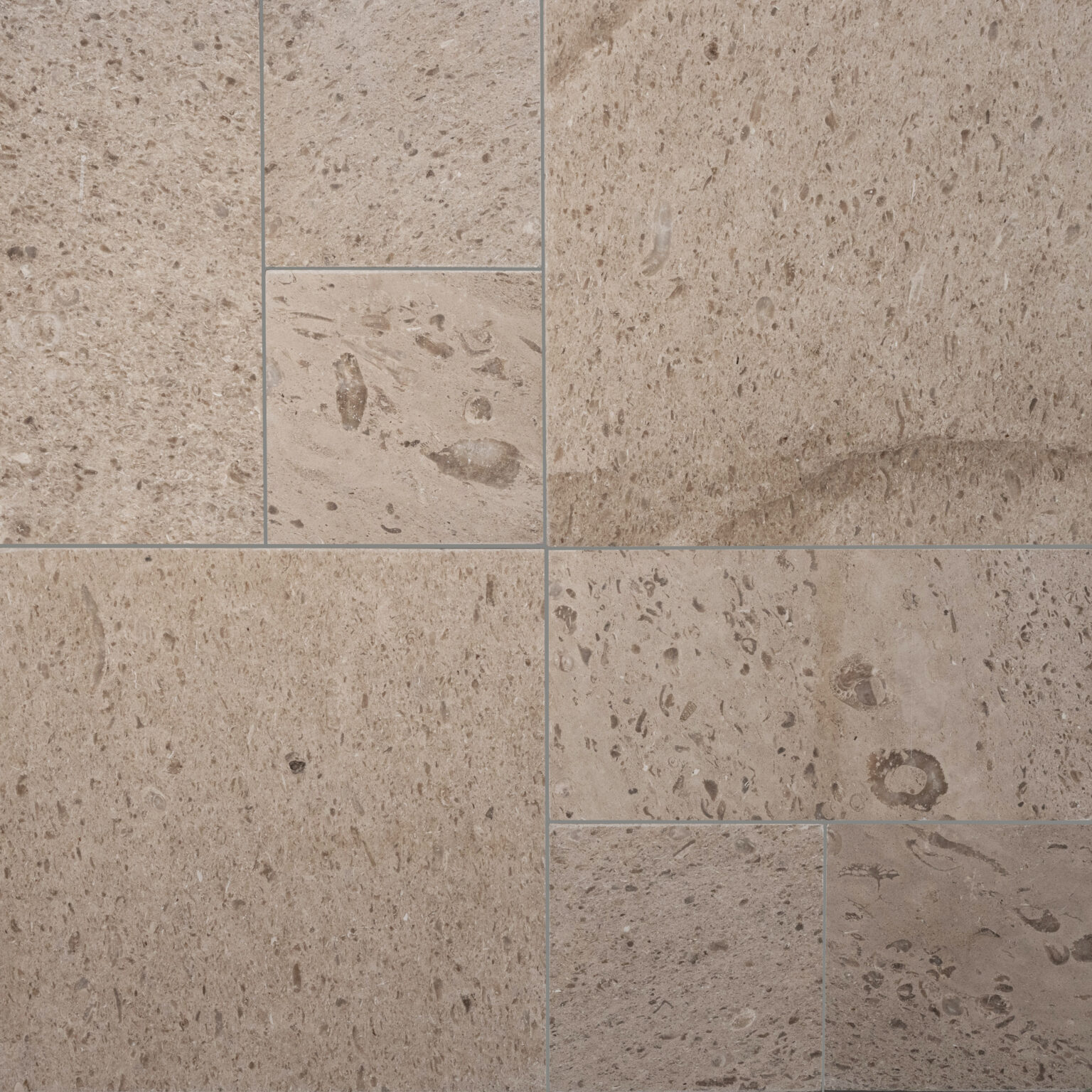 Pearl Grey – Cholla